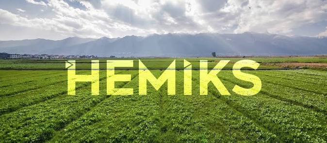 HEMIX